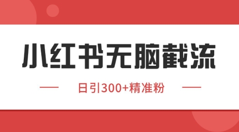 小红书截流同行客源,独家野路子获客玩法 日引200+暴力获客【揭秘】插图 小红书截流同行客源,独家野路子获客玩法 日引200+暴力获客【揭秘】