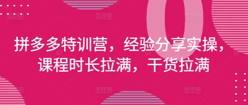 拼多多特训营,经验分享实操,课程时长拉满,干货拉满(更新25年4月)插图 拼多多特训营,经验分享实操,课程时长拉满,干货拉满(更新25年4月)